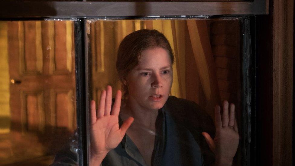 The Woman in the Window