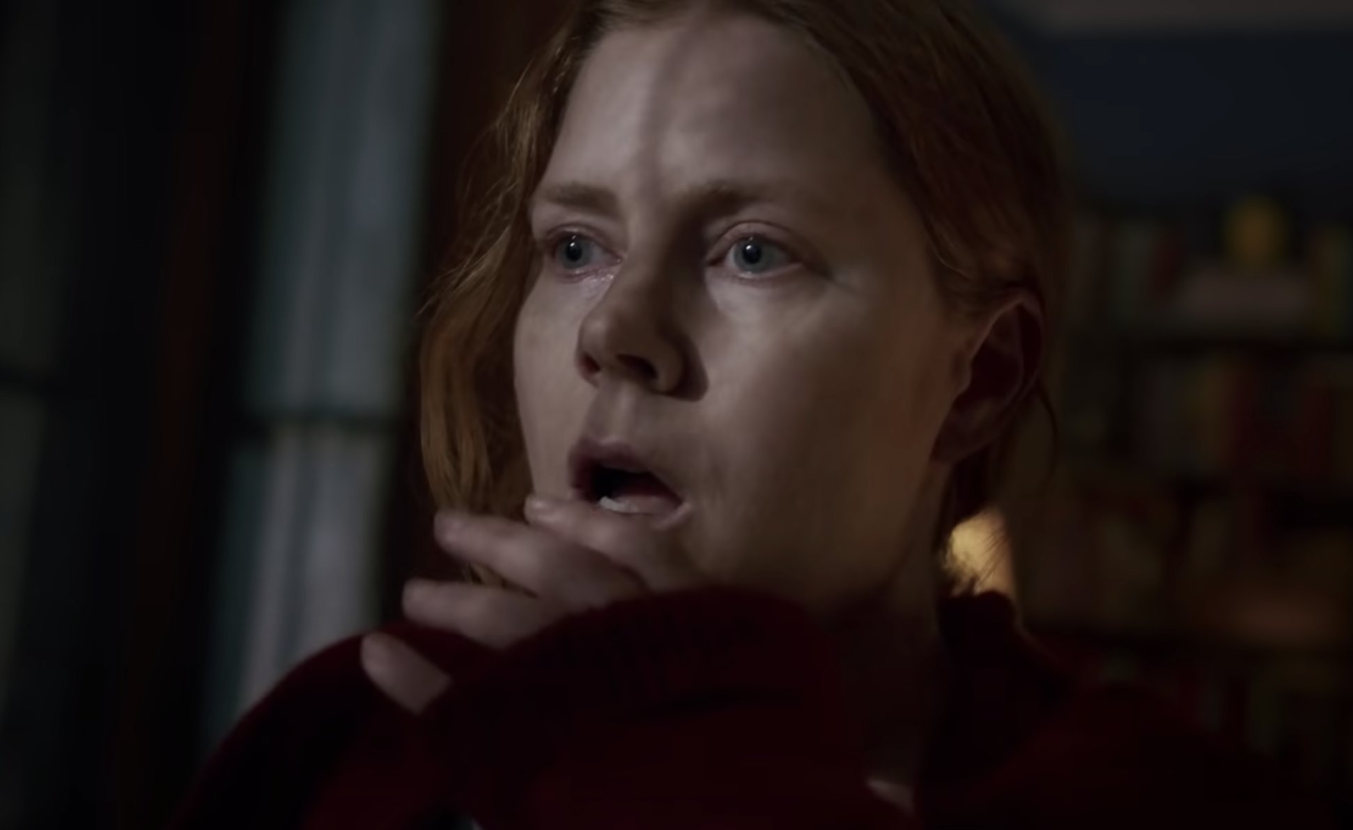 The Woman in the Window
