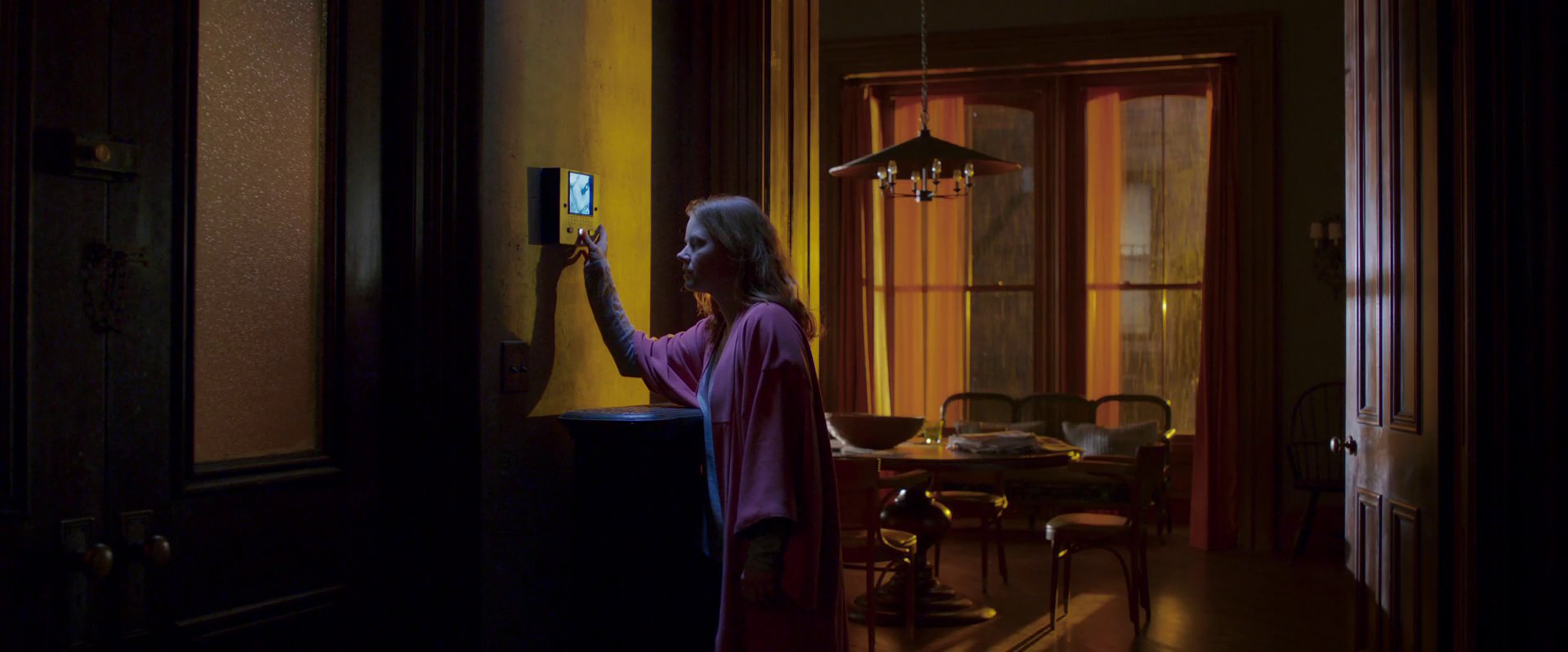The Woman in the Window
