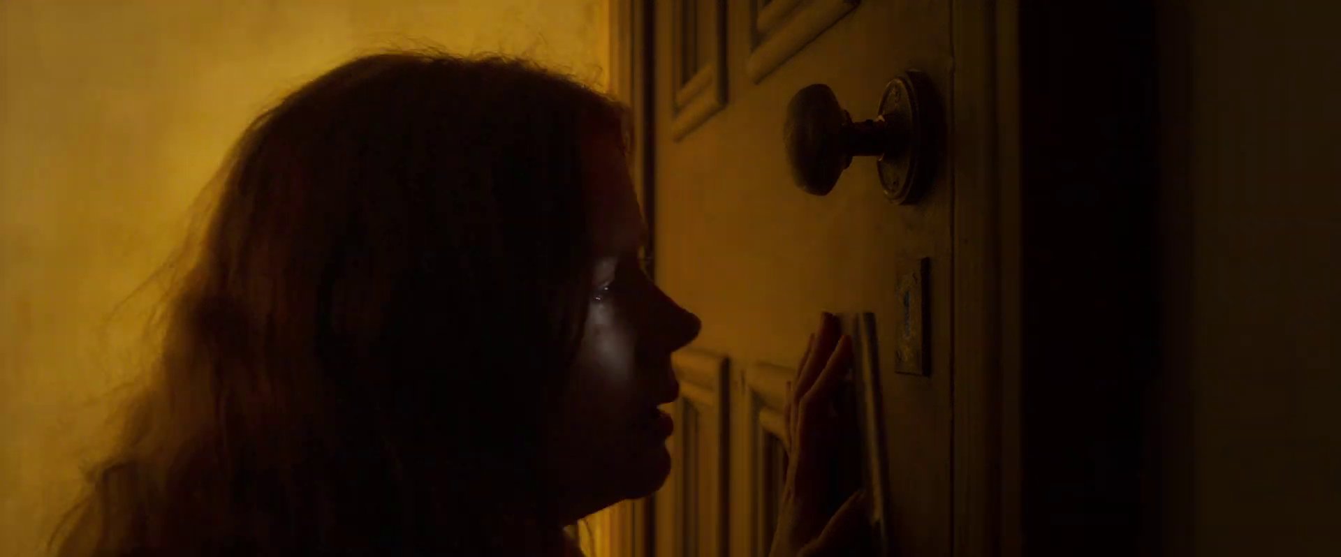 The Woman in the Window
