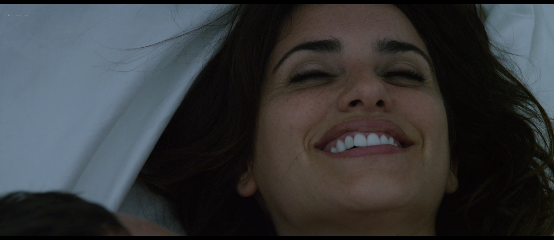 The Counselor