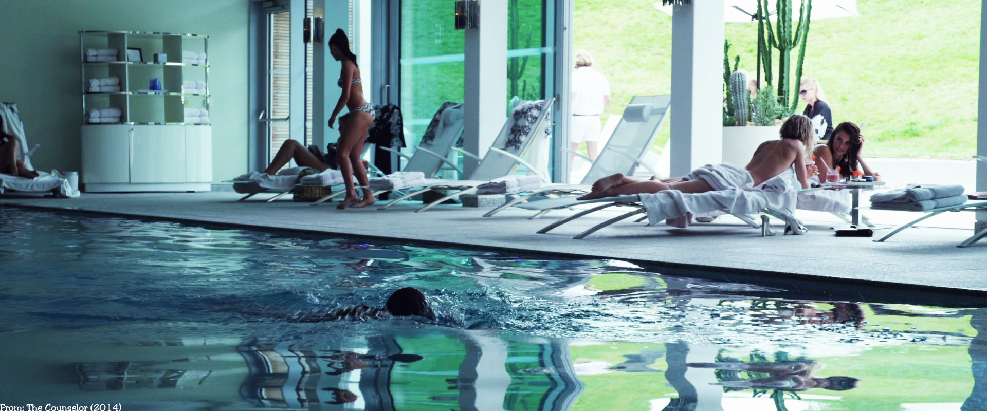 The Counselor