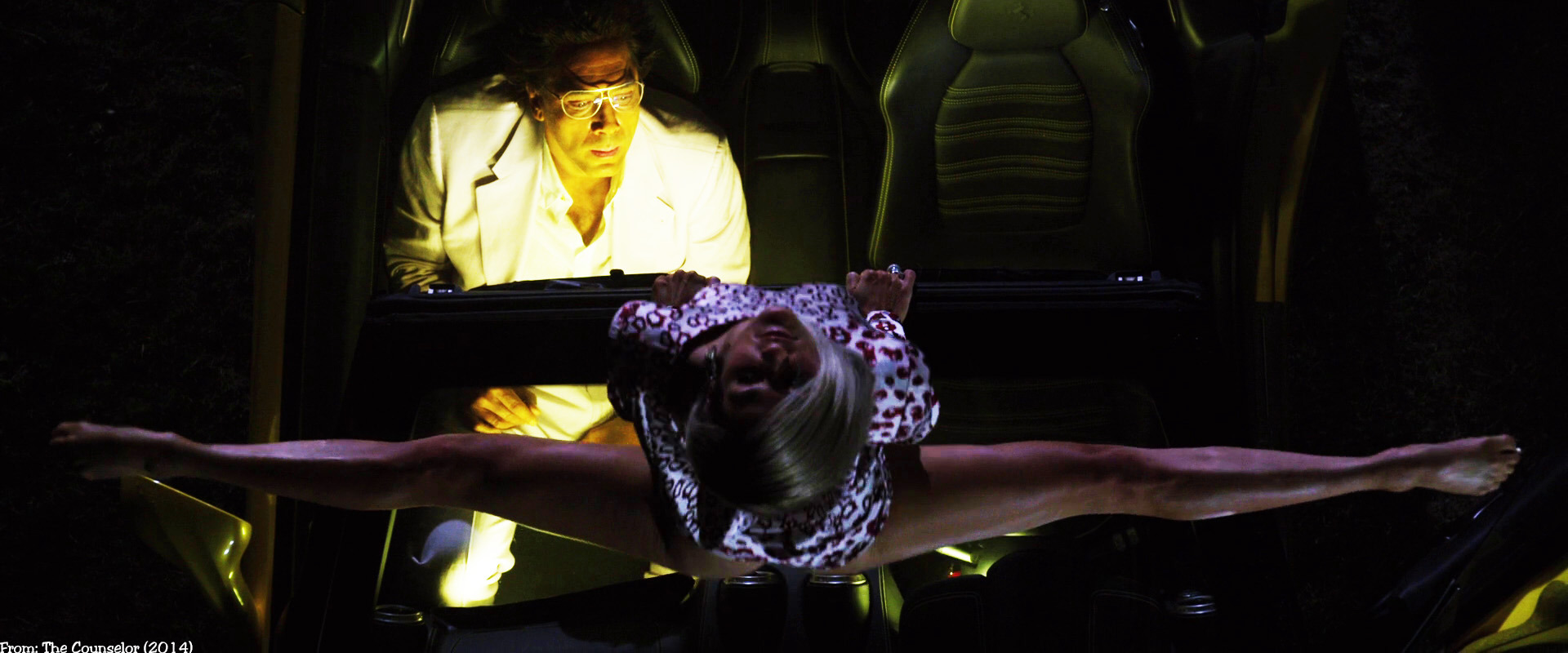 The Counselor