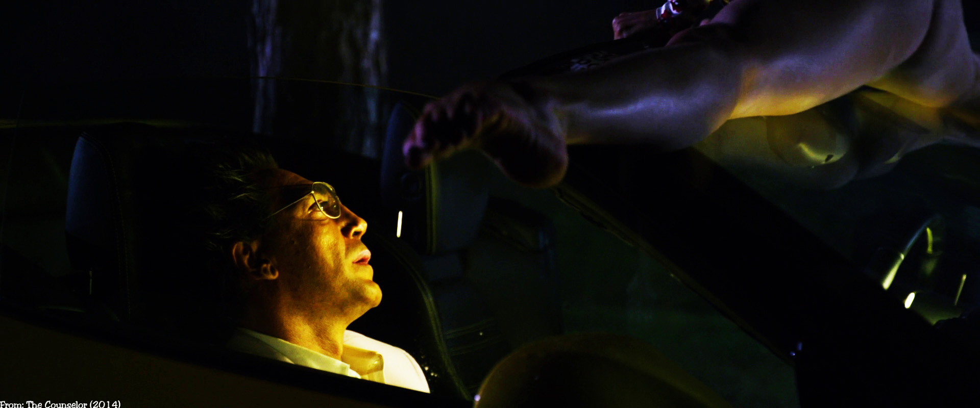 The Counselor