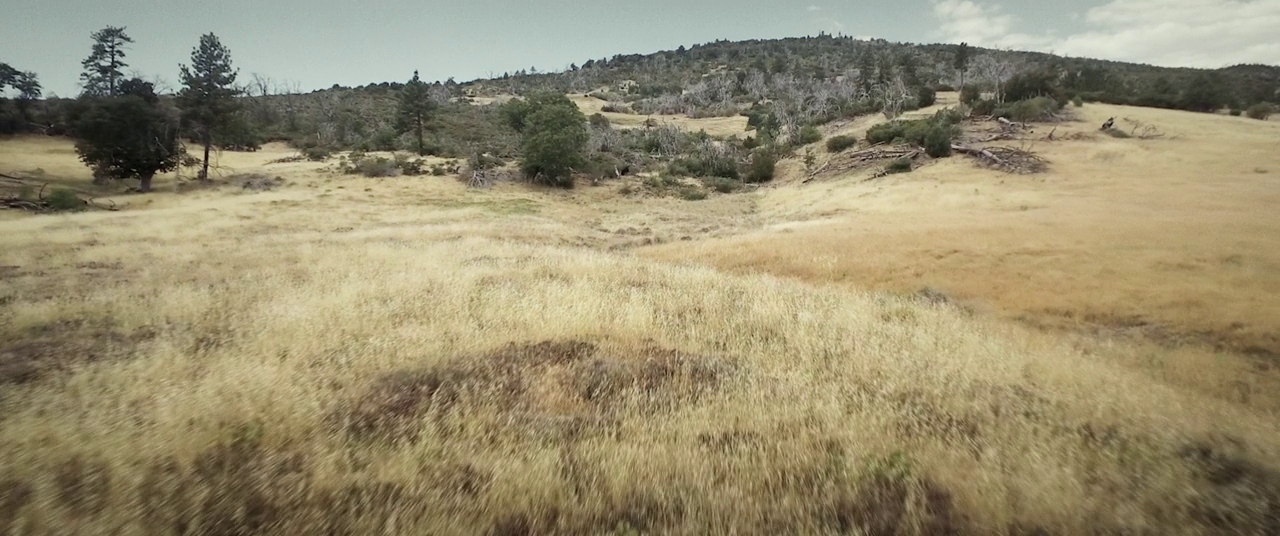The Endless