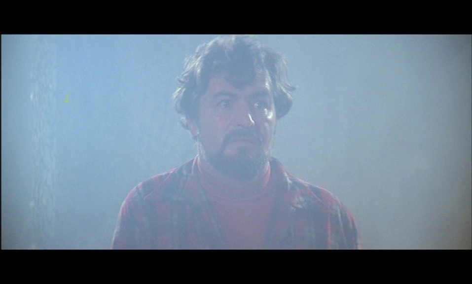 The Fog - Nebel des Grauens