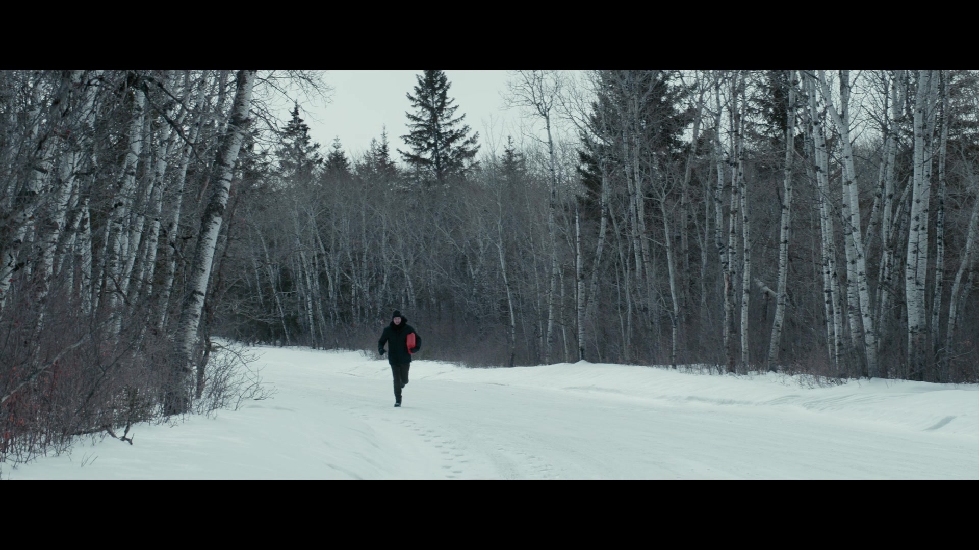 The Ice Road