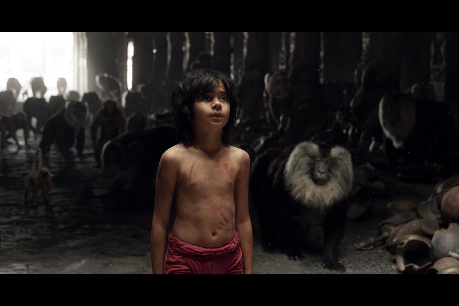 The Jungle Book