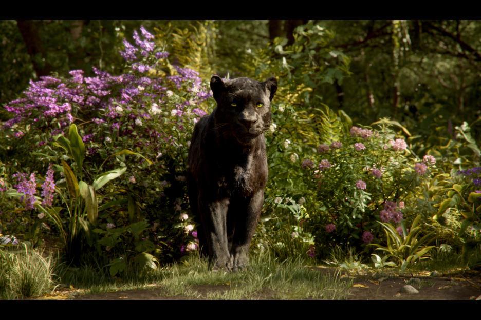 The Jungle Book