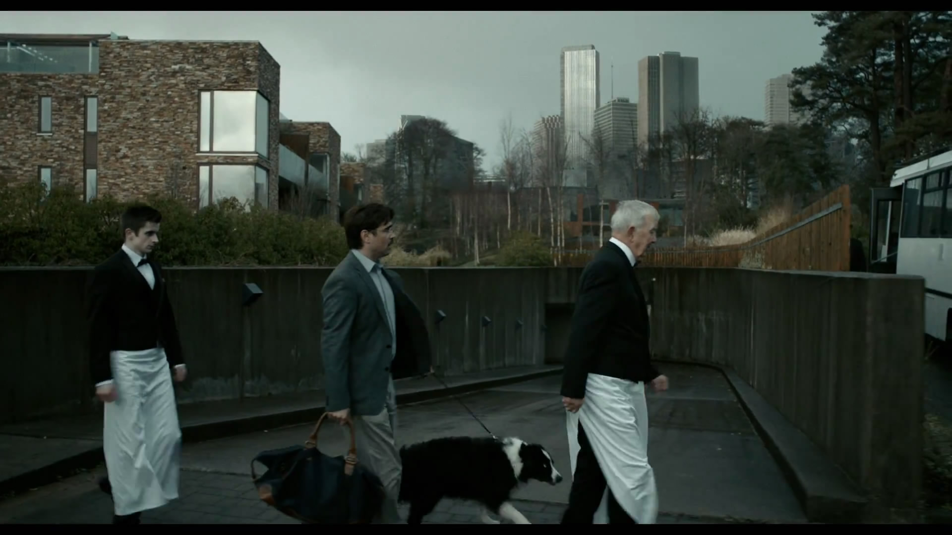 The Lobster