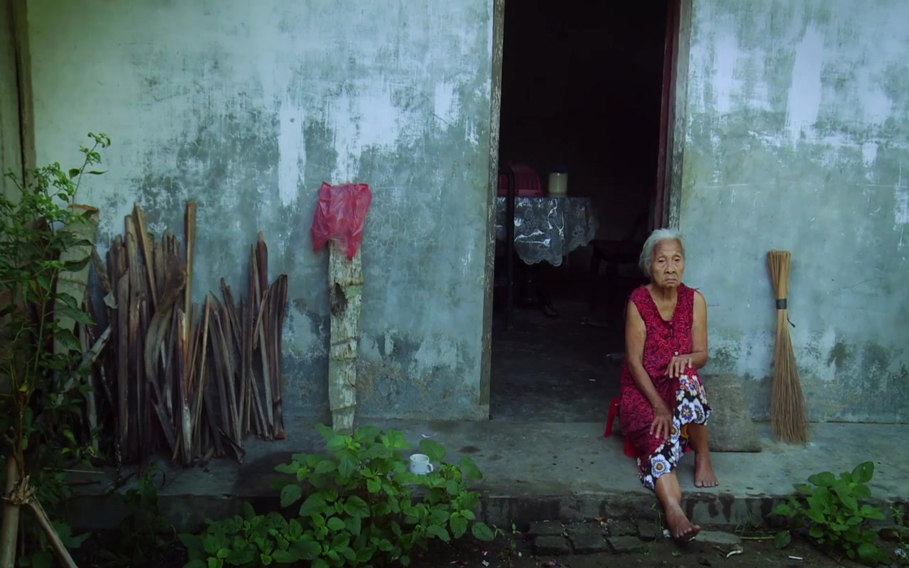 The Look of Silence