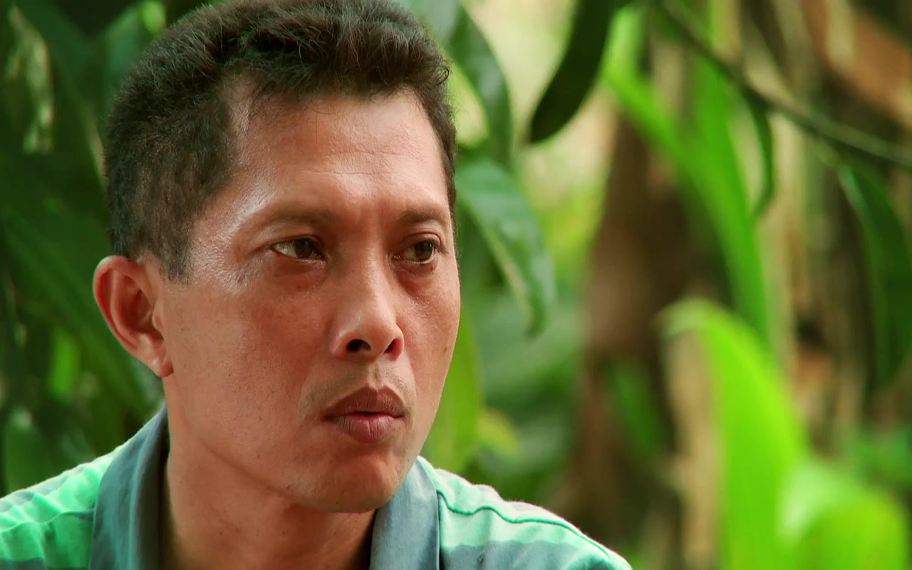 The Look of Silence