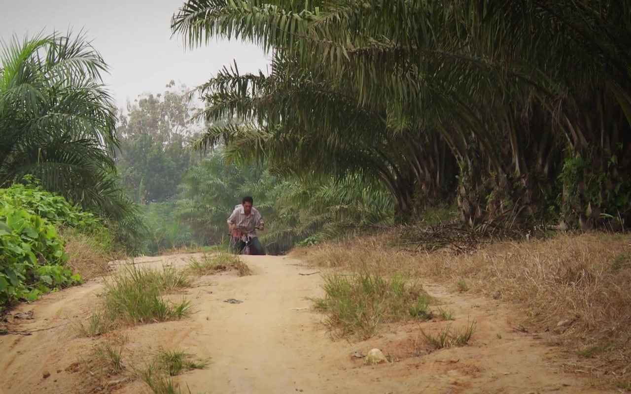 The Look of Silence