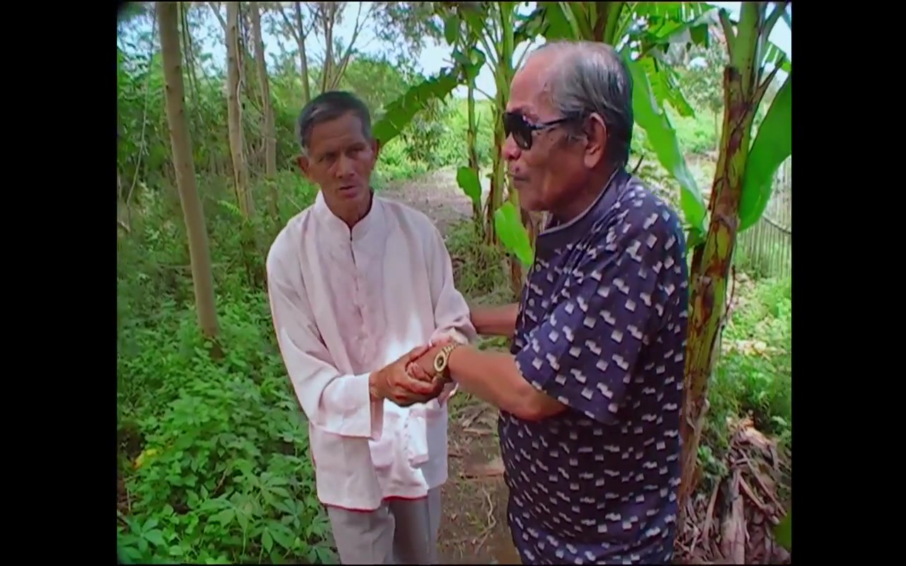The Look of Silence