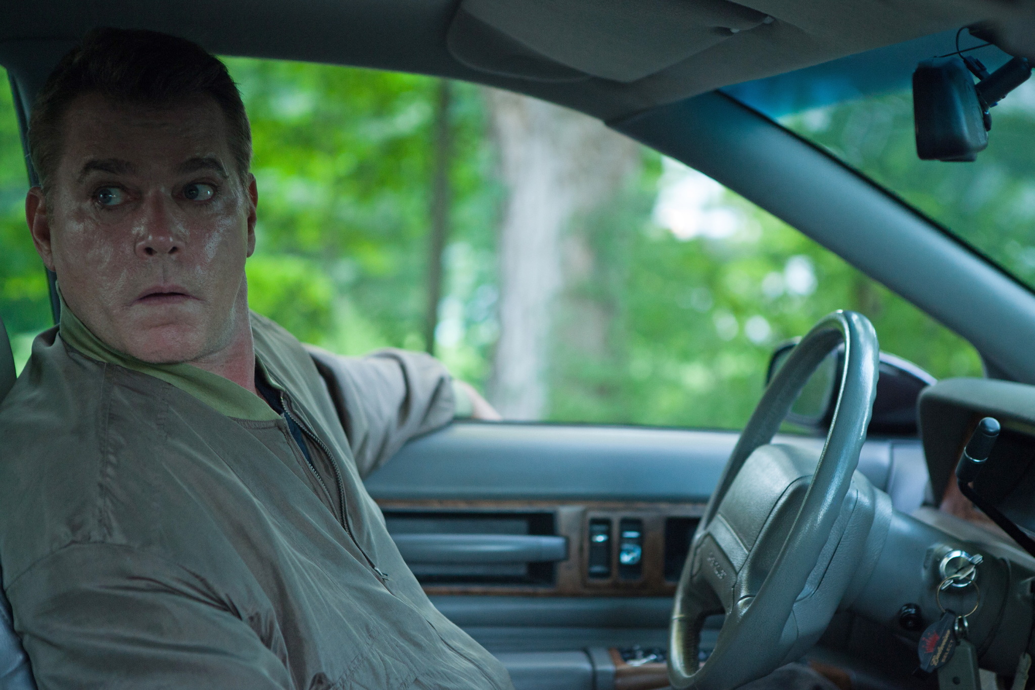 The Place Beyond the Pines