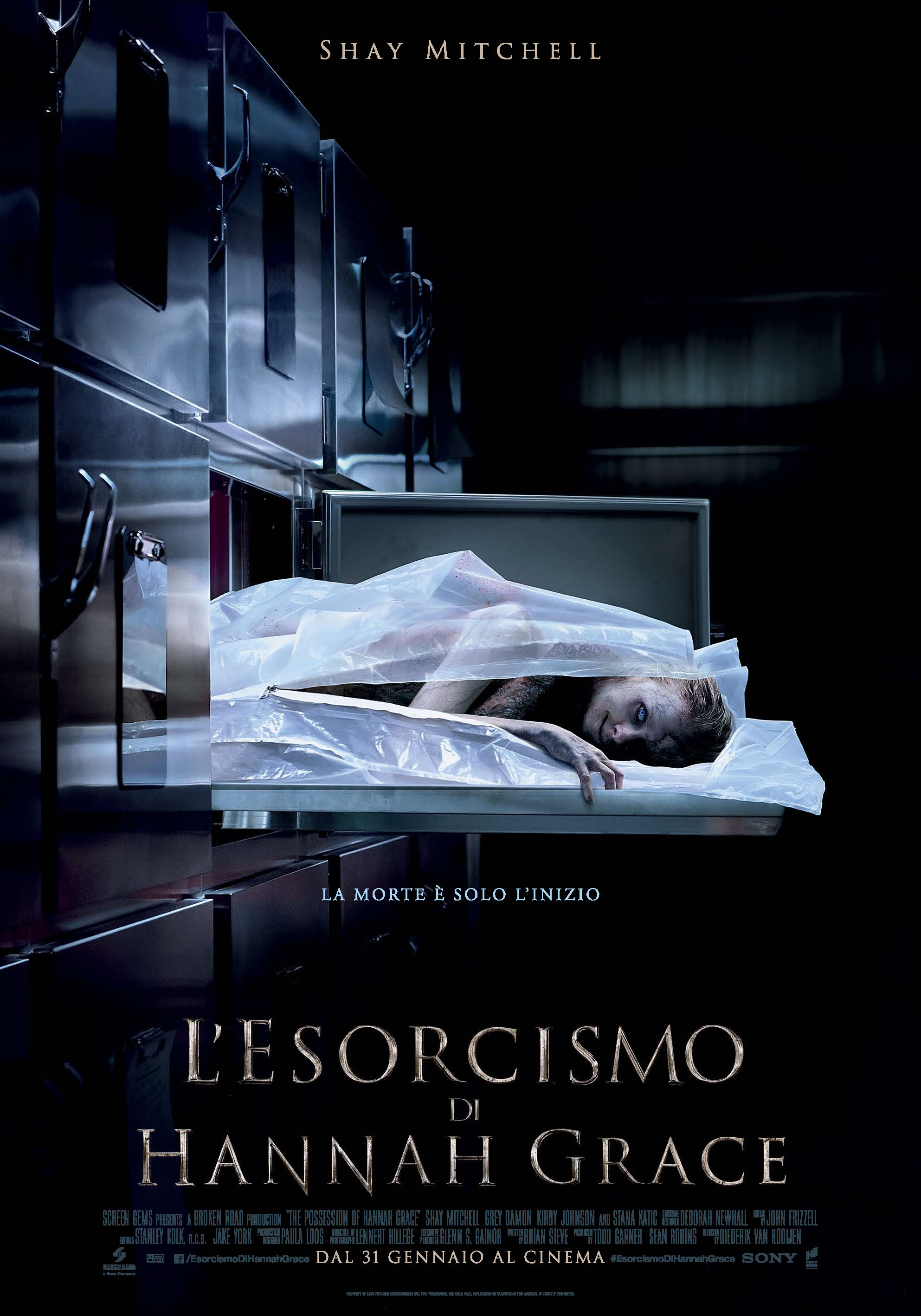 The Possession of Hannah Grace