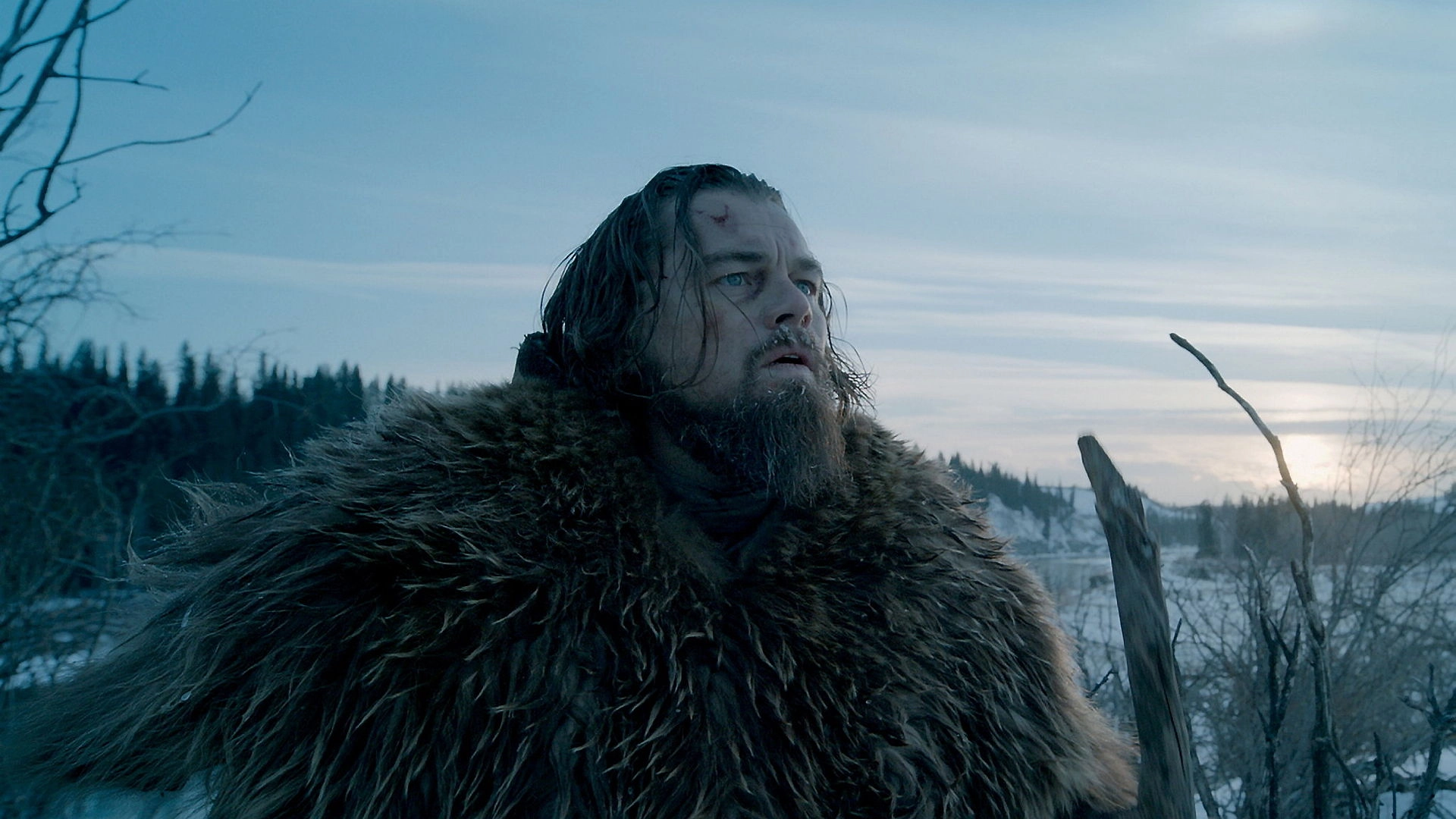 The Revenant - Der Rückkehrer