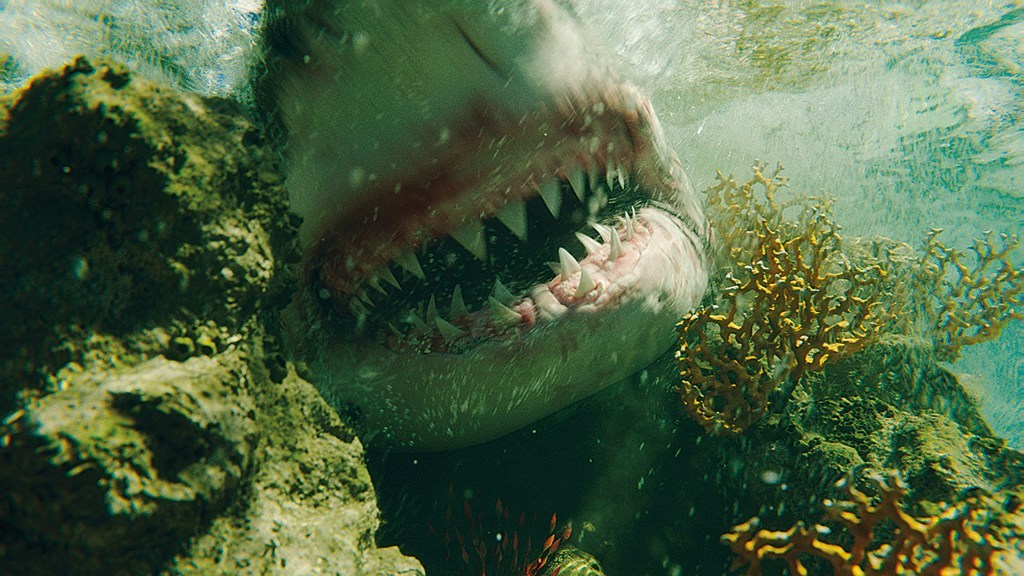 The Shallows - Gefahr aus der Tiefe