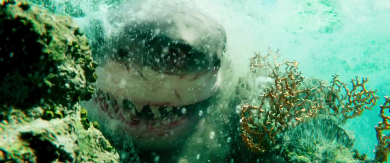 The Shallows - Gefahr aus der Tiefe