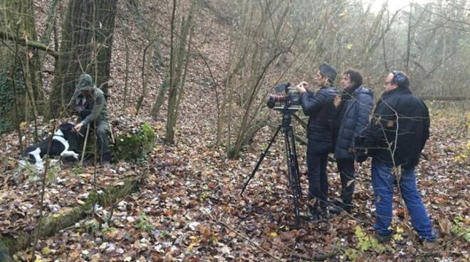 The Truffle Hunters