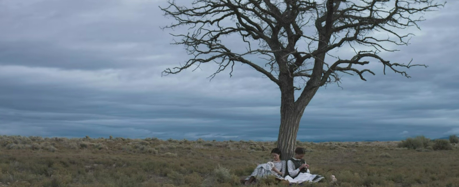 The Wind