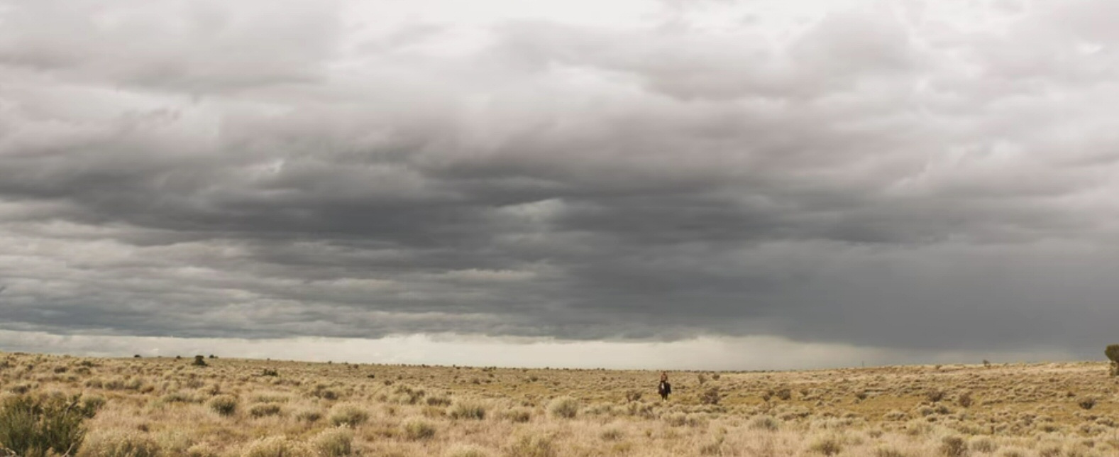 The Wind