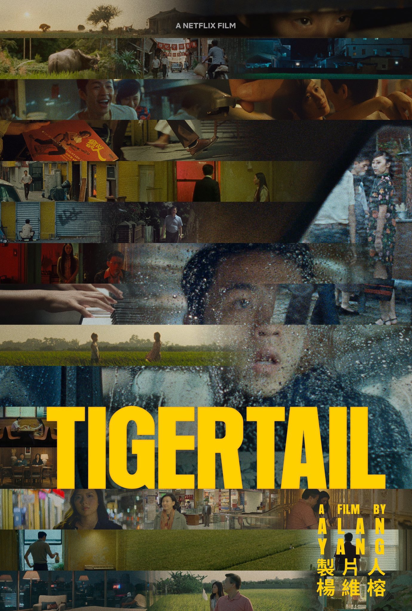 Tigertail