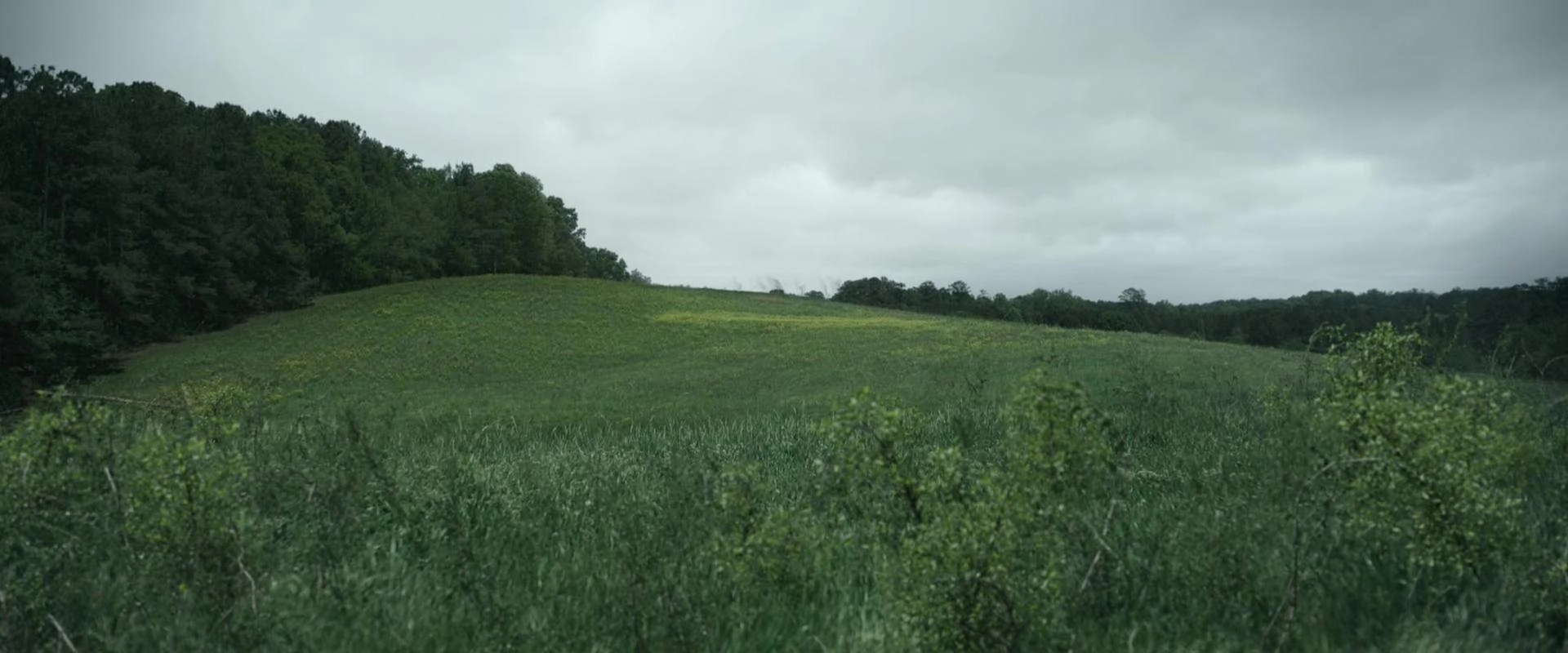 Chaos Walking