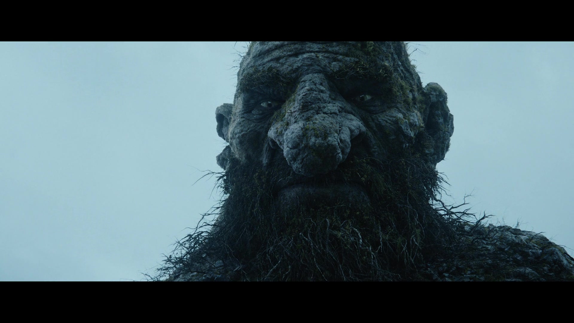 Troll