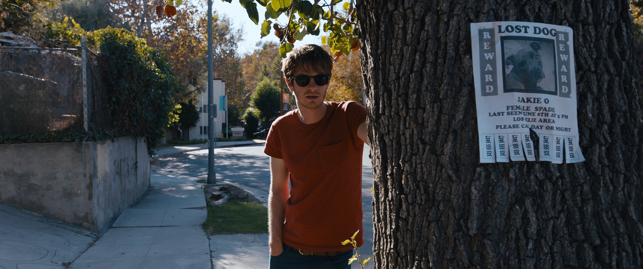 Under the Silver Lake