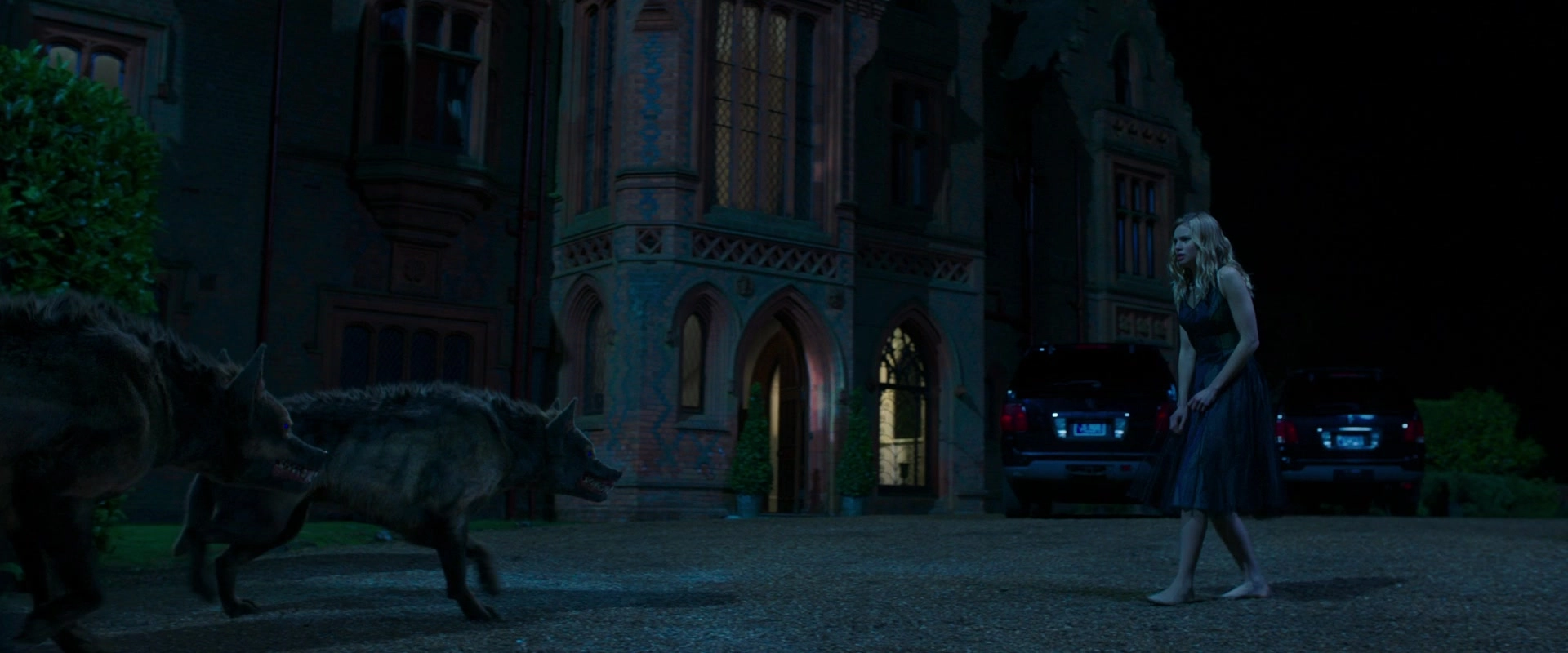 Vampire Academy