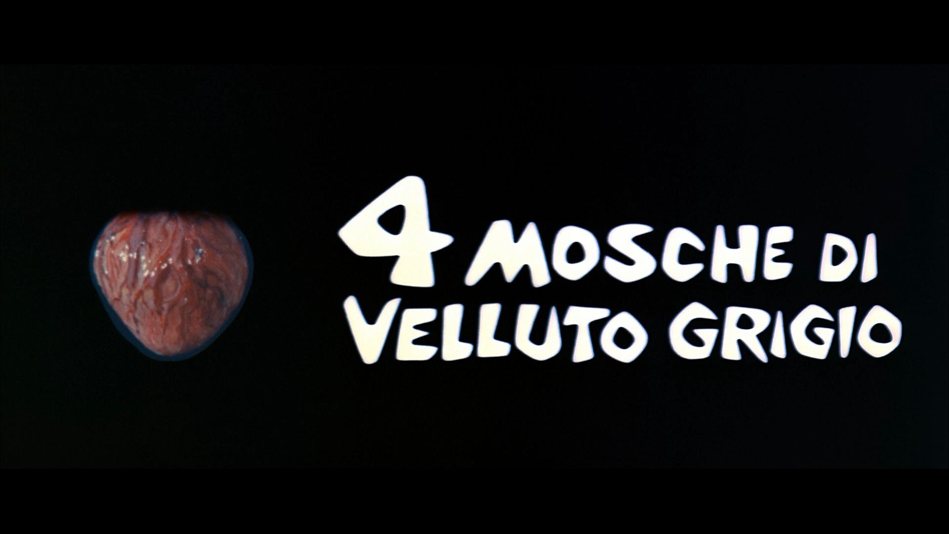 Vier Fliegen auf grauem Samt