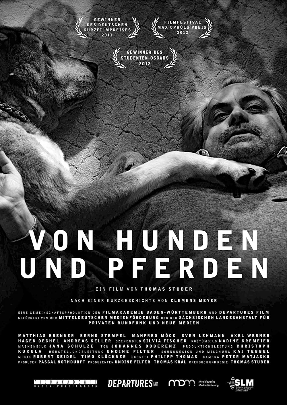 Filmbeschreibung zu Von Hunden und Pferden