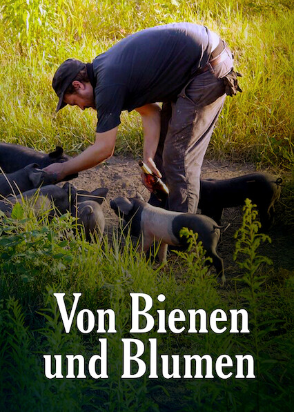 Von Bienen und Blumen