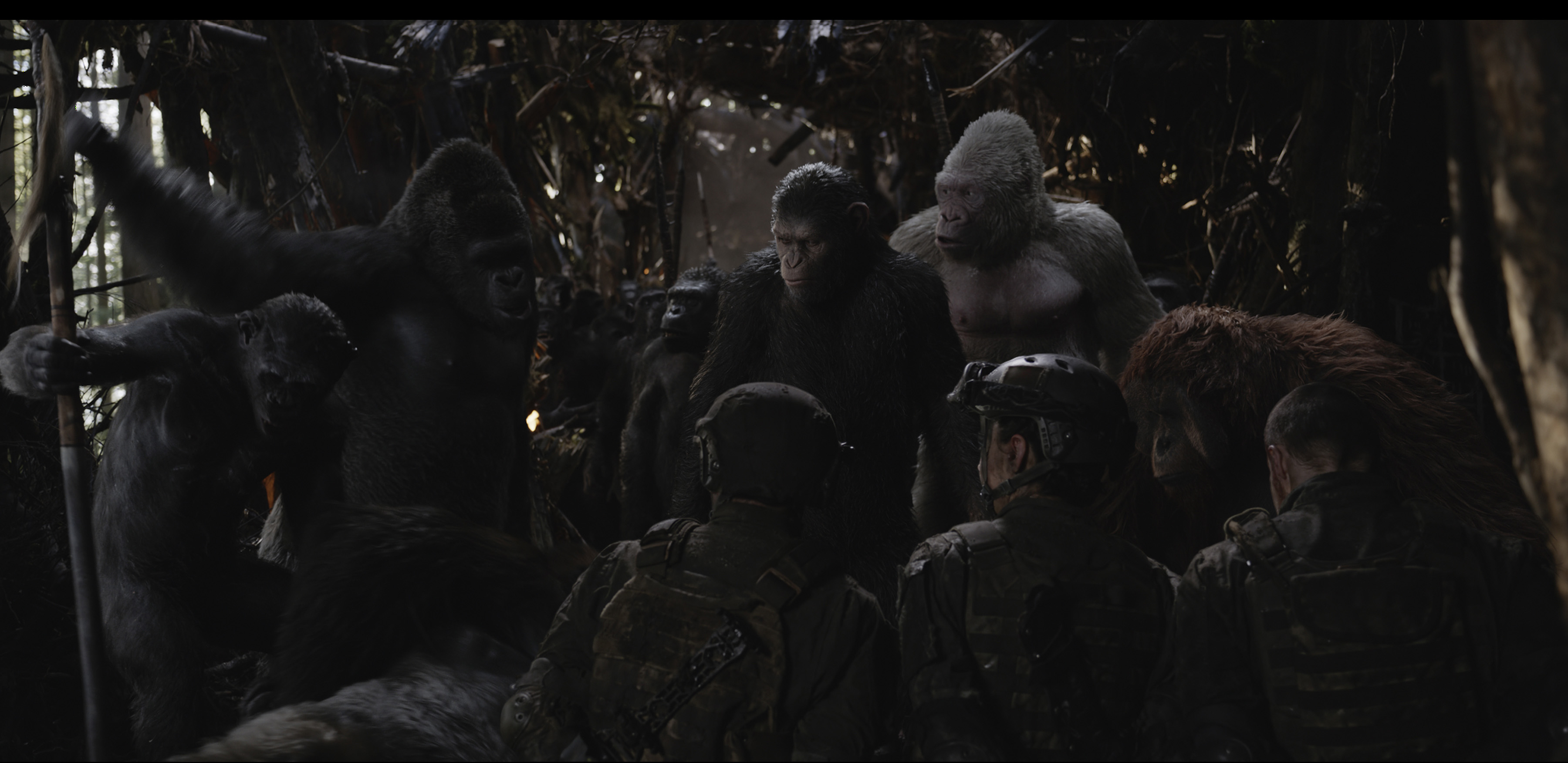 Planet der Affen: Survival