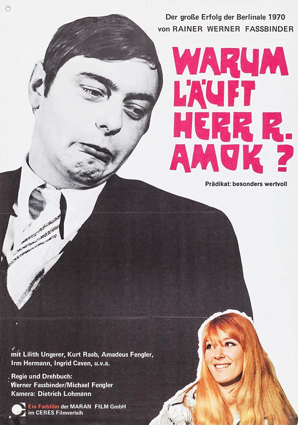 Filmbeschreibung zu Warum l?uft Herr R. Amok?