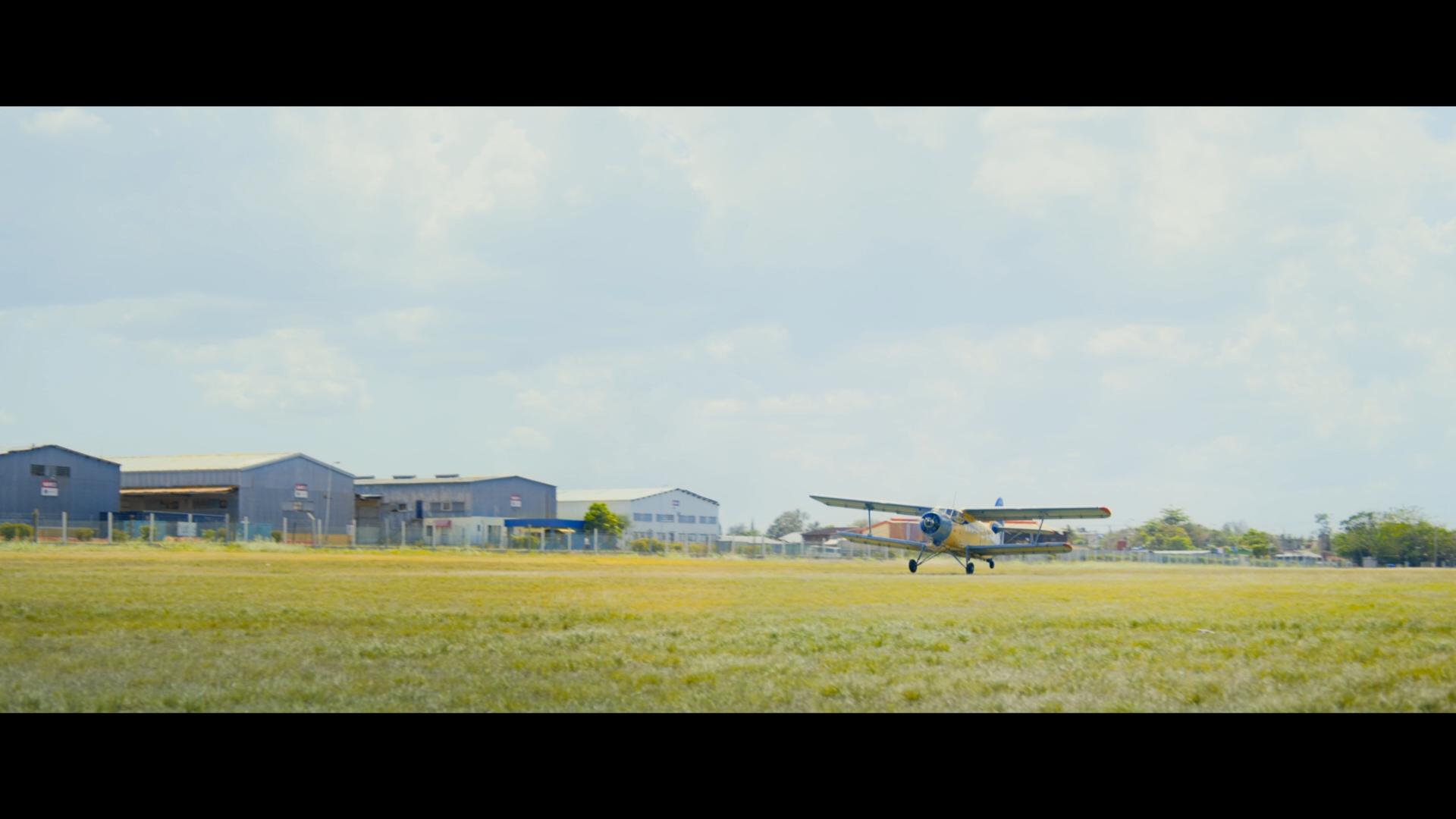 Wasp Network