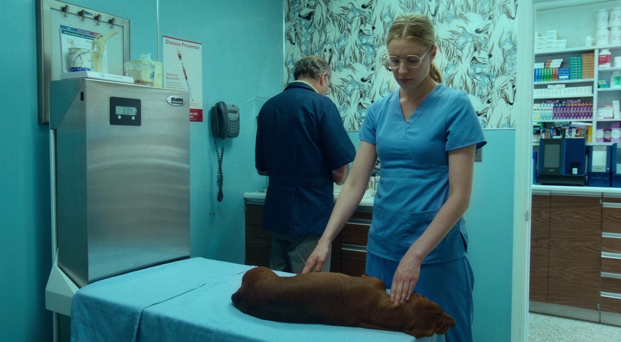 Wiener Dog