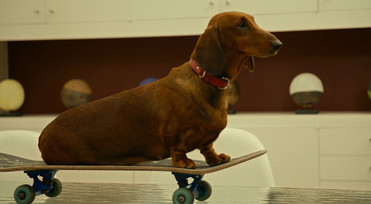 Wiener Dog