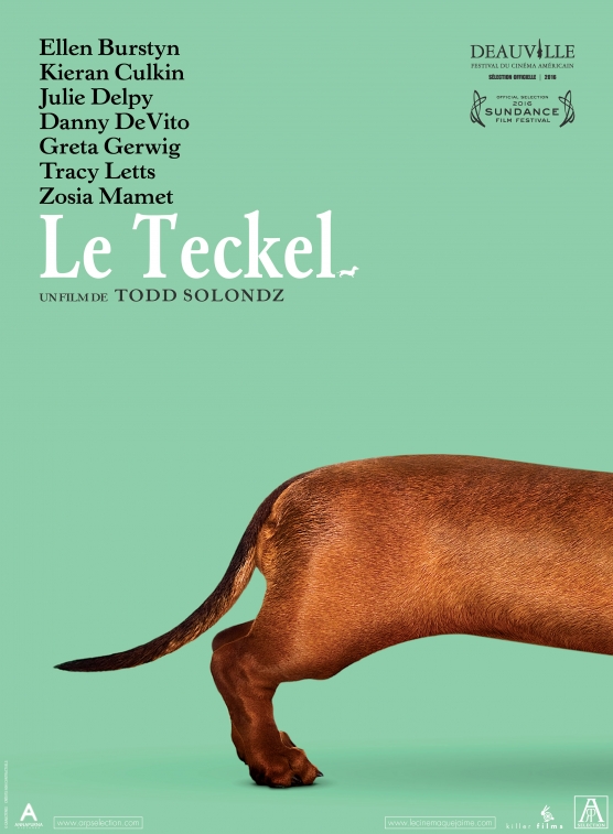 Wiener Dog