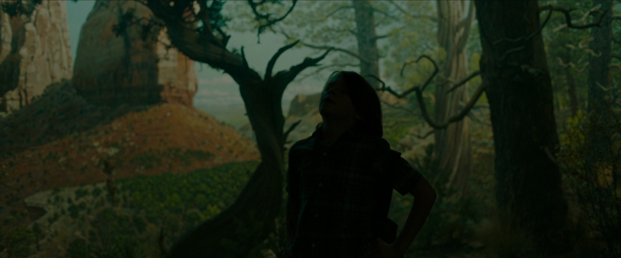 Wonderstruck