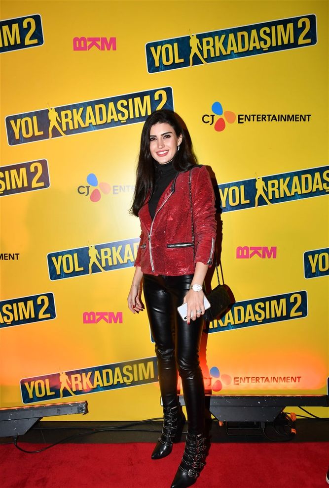 Yol Arkadasim 2
