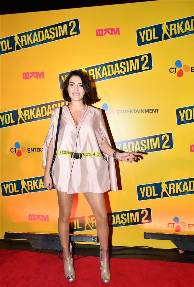 Yol Arkadasim 2