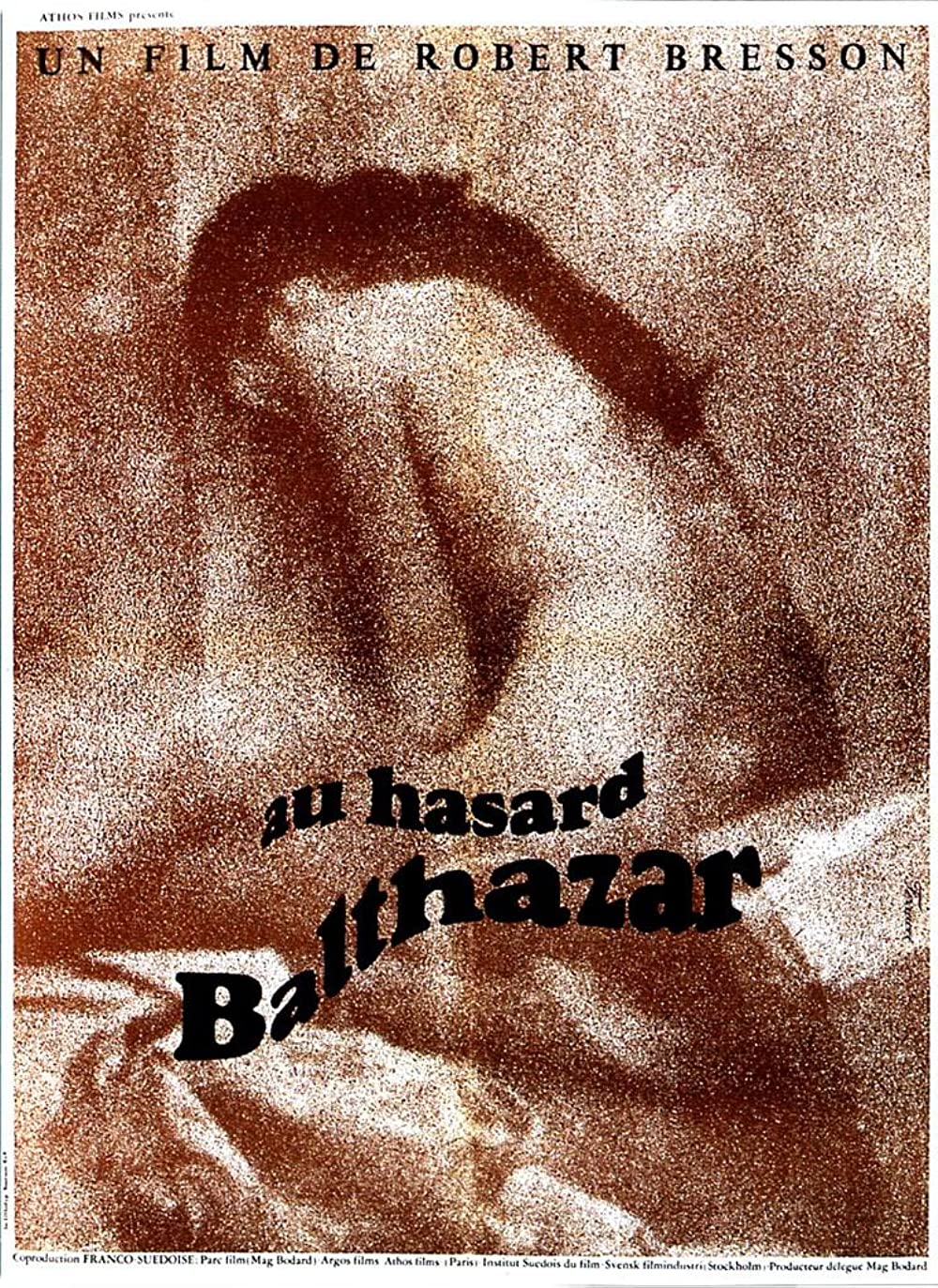Filmbeschreibung zu Zum Beispiel Balthasar