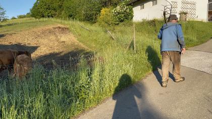 Besuch im Bubenland
