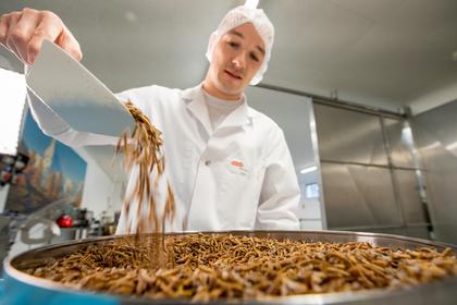 Beyond Tradition - Kraft der Naturstimmen