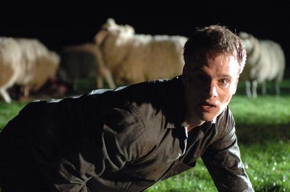 Black Sheep