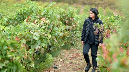 Das Land der tausend Weine (OV)