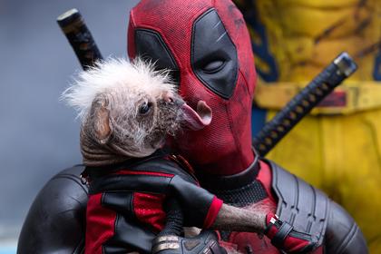 Deadpool & Wolverine 3D (OV)