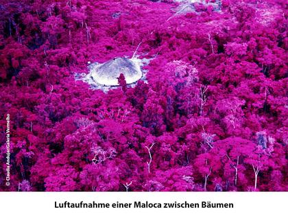 Die Vision der Claudia Andujar